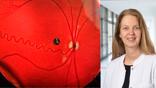 Dr. med. Virgina Toth, Oberärztin der Kinderintensivstation am Klinikum Traunstein Dr. med. Virgina Toth, Oberärztin der Kinderintensivstation am Klinikum Traunstein